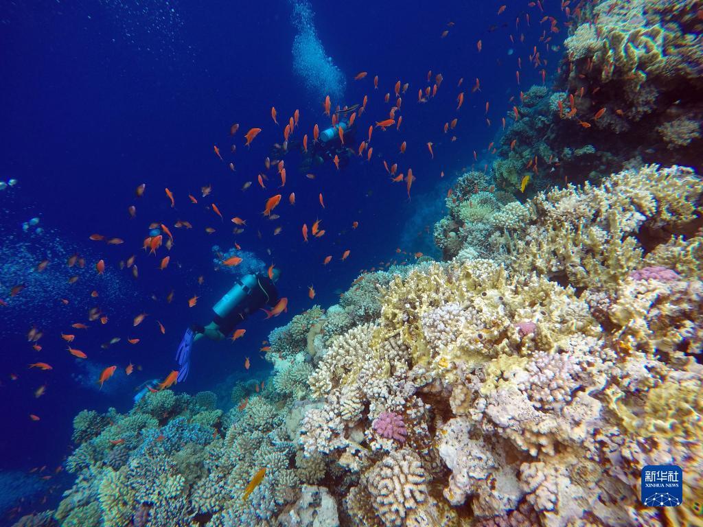 搜狗浏览器